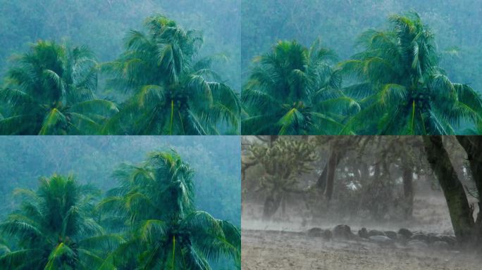 马哈拉施特拉邦普纳大雨磅礴