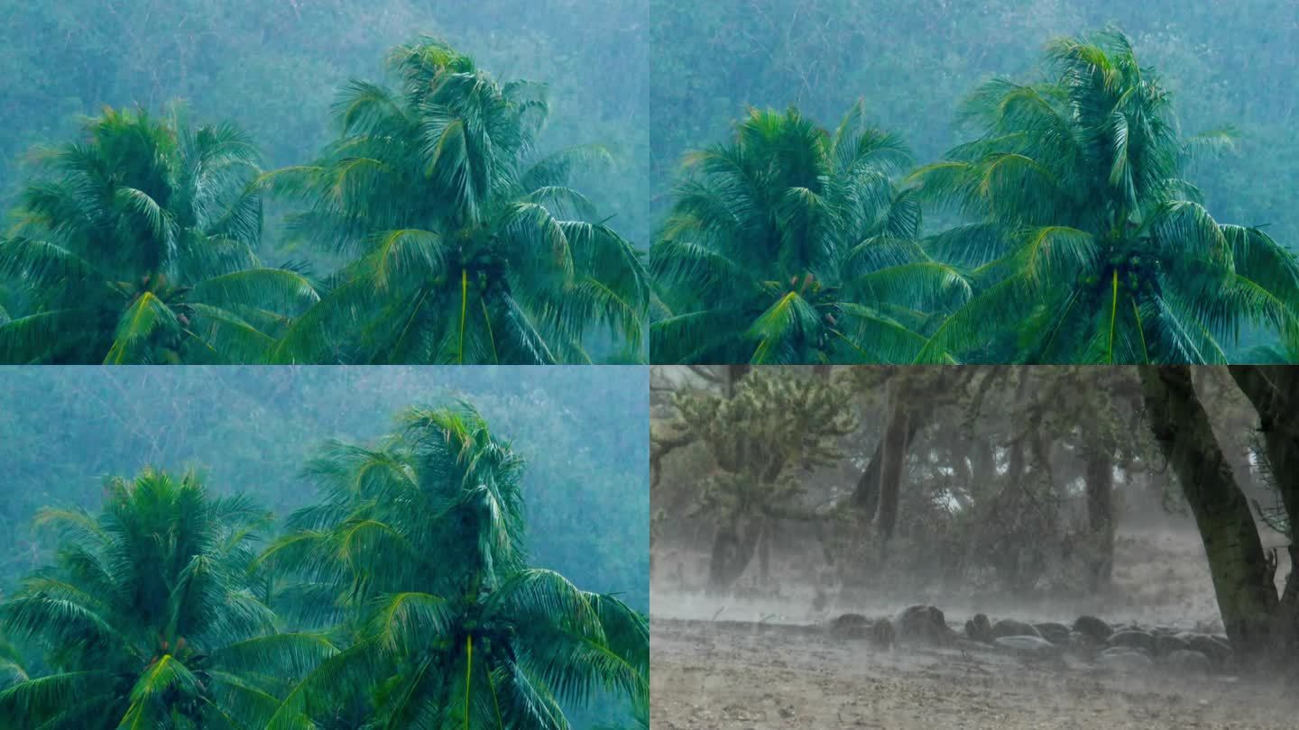 马哈拉施特拉邦普纳大雨磅礴