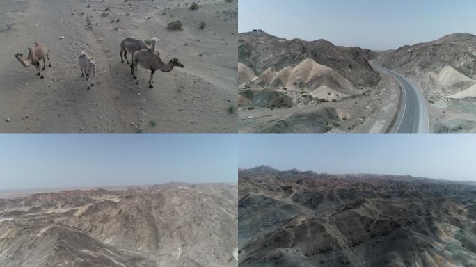 航拍新疆沙漠戈壁滩野生骆驼火焰山