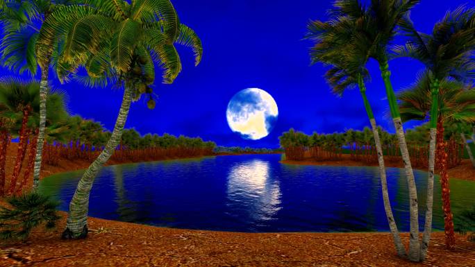 海南椰树海岛三维动画-夜景明月