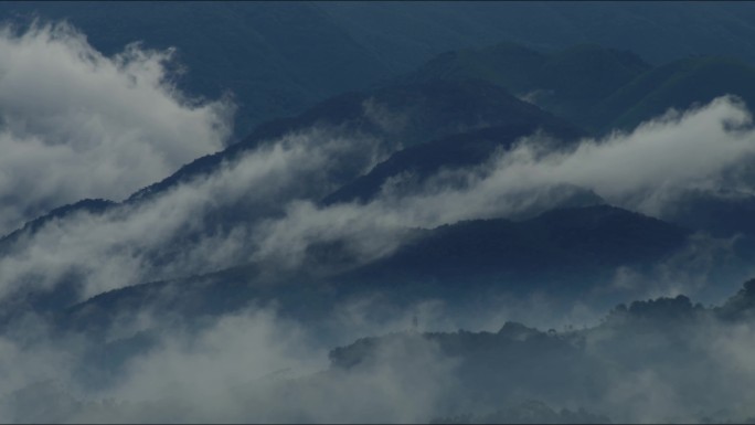 空山新雨后 雾景