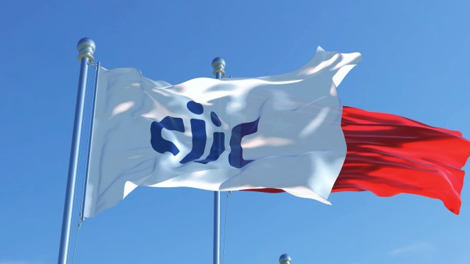 中国国际技术智力合作集团有限公司旗帜