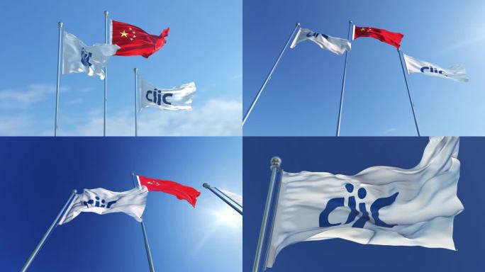 中国国际技术智力合作集团有限公司旗帜