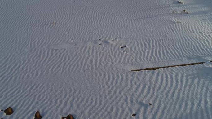 沙漠与雪