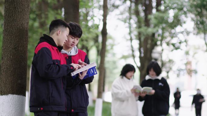 4K大学校园看书交流