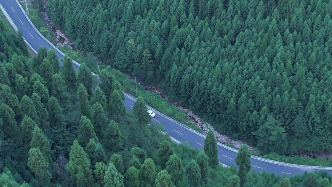 俯视山林蜿蜒公路白色行车前飞