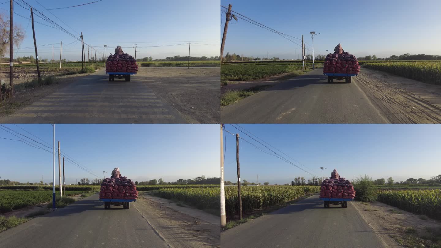 农村道路洋葱运输车