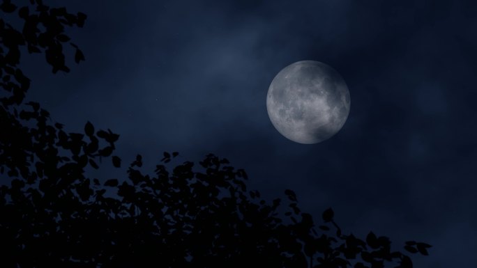 黑夜月亮风吹树叶树影闪动夜色阑珊圆月夜景