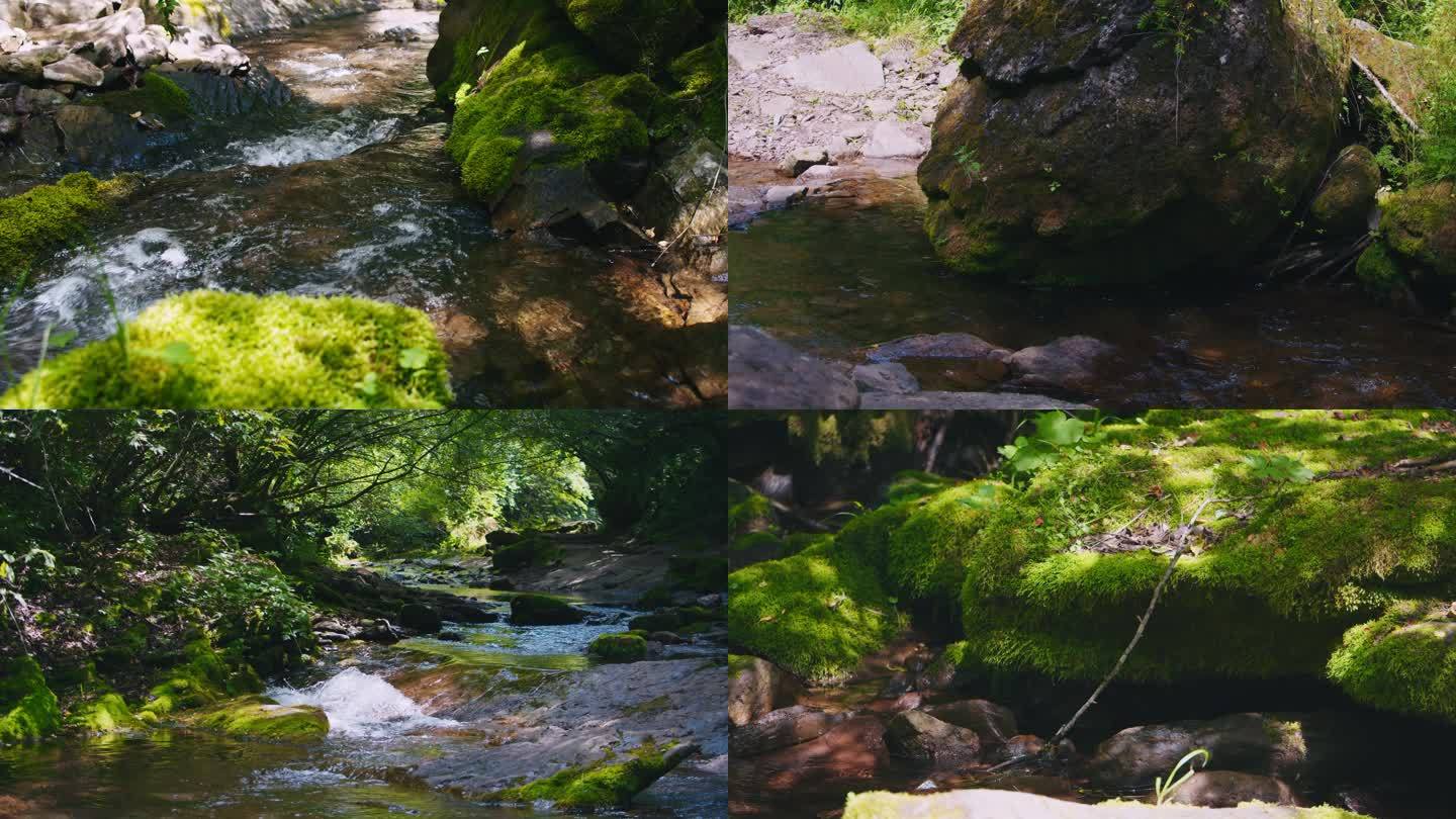 4K大自然意境森林山间流水（S0065）