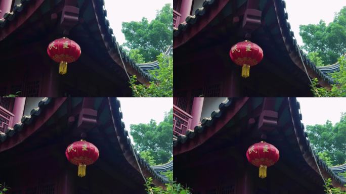 上海古华园 古建筑意境唯美4K实拍原素材