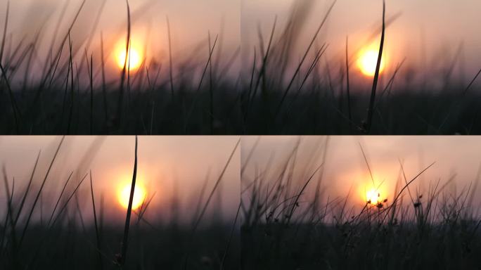 夕阳黄昏日落大草原