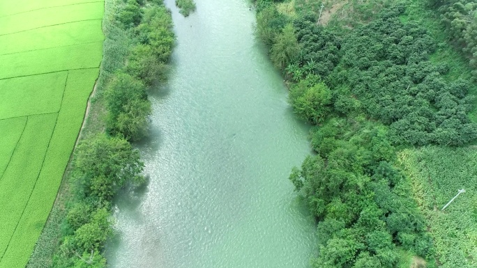 田间河流