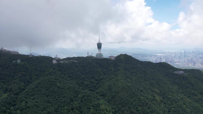 深圳梧桐山电视塔云海延时