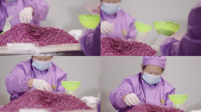 【4K】玫瑰鲜花饼制作厂工人忙碌