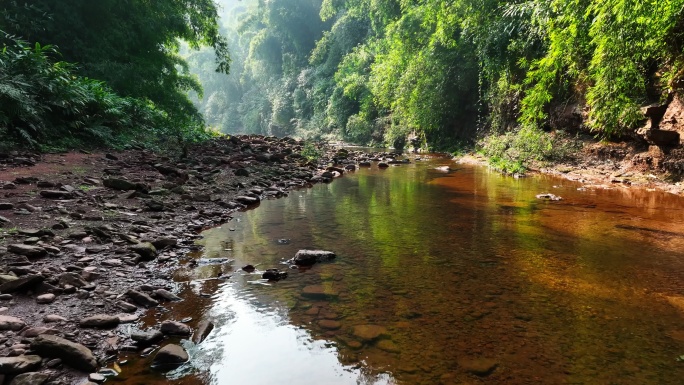 航拍夏季山野竹林溪流水 山清水秀