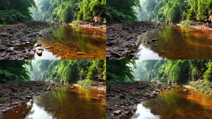 航拍夏季山野竹林溪流水 山清水秀