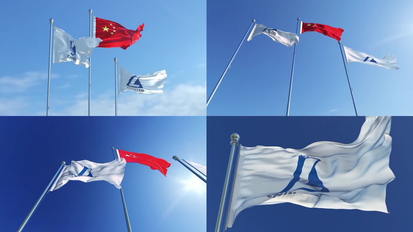 中国稀土集团有限公司旗帜