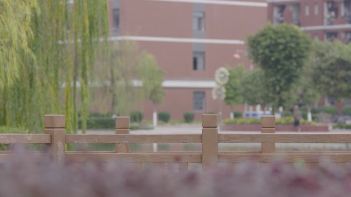 4K大学生下课