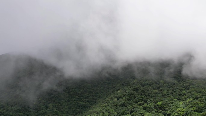 广东深圳梧桐山云海航拍延时