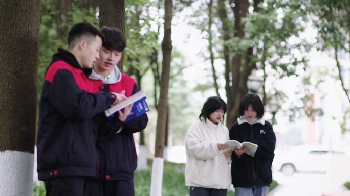 4K大学校园看书沟通交流