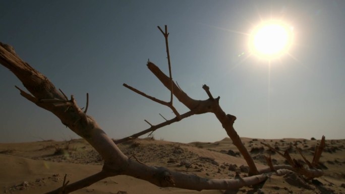 阿联酋长期旱地求雨