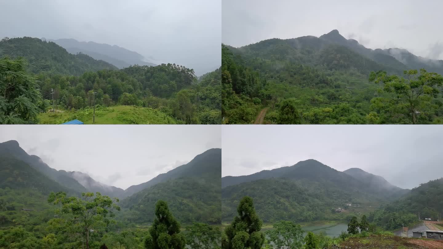 雨中云雾缭绕的山峰 林场