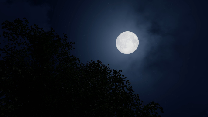 夜色月亮夜景月色微风树影月黑风高月上枝头