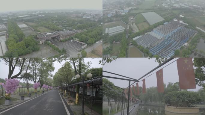 长沙县绿世界视频