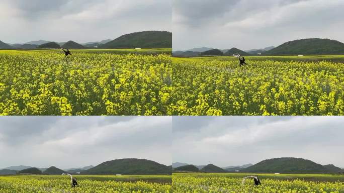 女子在富阳铜鉴湖边的油菜花地奔跑