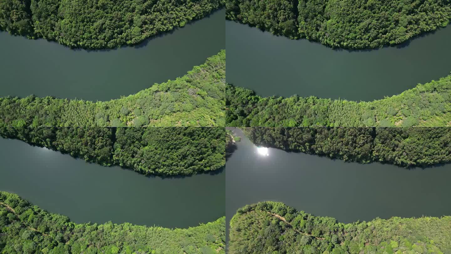 航拍俯瞰生态竹林河流