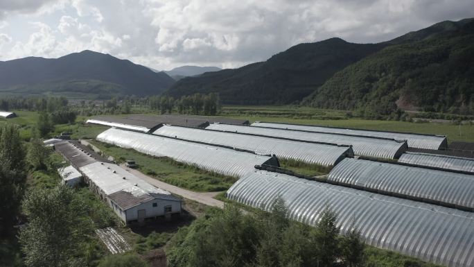 农村 大山 大棚 原素材无调色