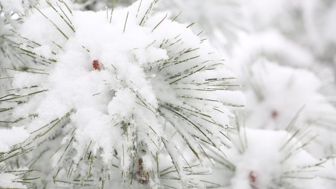 格萨拉雪景