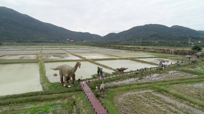 航拍海南三亚市水稻国家公园恐龙游览区
