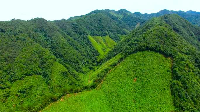 山川风景 河流 纸张晾晒 乡村生活