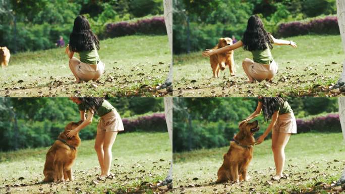 美女和狗狗在公园里玩耍宠物金毛犬跑向主人