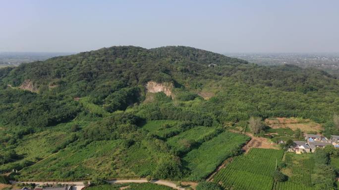 扬州捺山茶园鸟瞰航拍