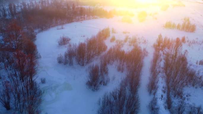 航拍雪原森林日出