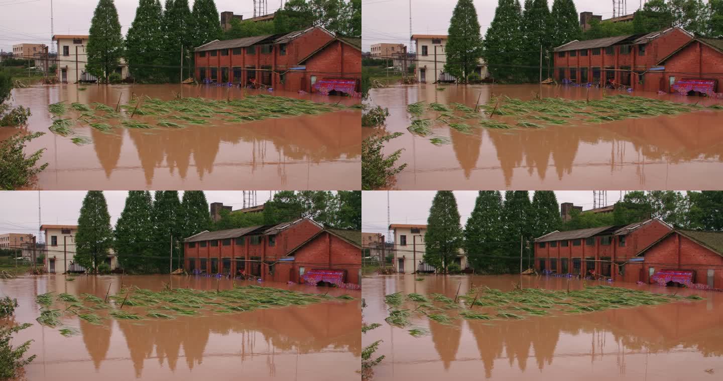 洪水淹没农田房屋极端天气自然灾害资料