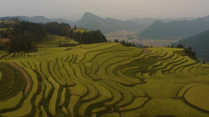 贵州梯田素材