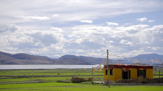 雅鲁藏布江 西藏草原 带声音