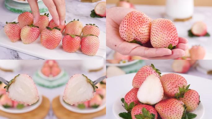 淡雪草莓