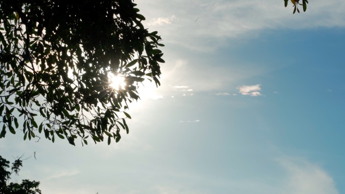 炎热高温天气大太阳