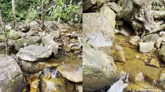 广西贺州姑婆山的野外小溪水流特写