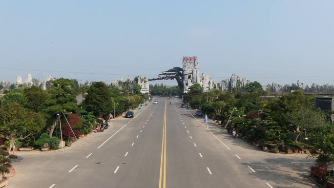 江都花木市场