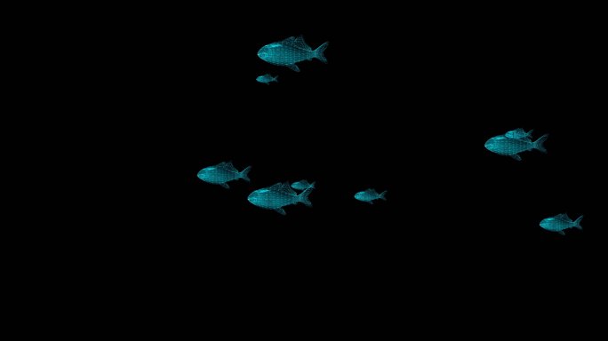 鱼群B03游鱼 海洋鱼群海底世界游动海底