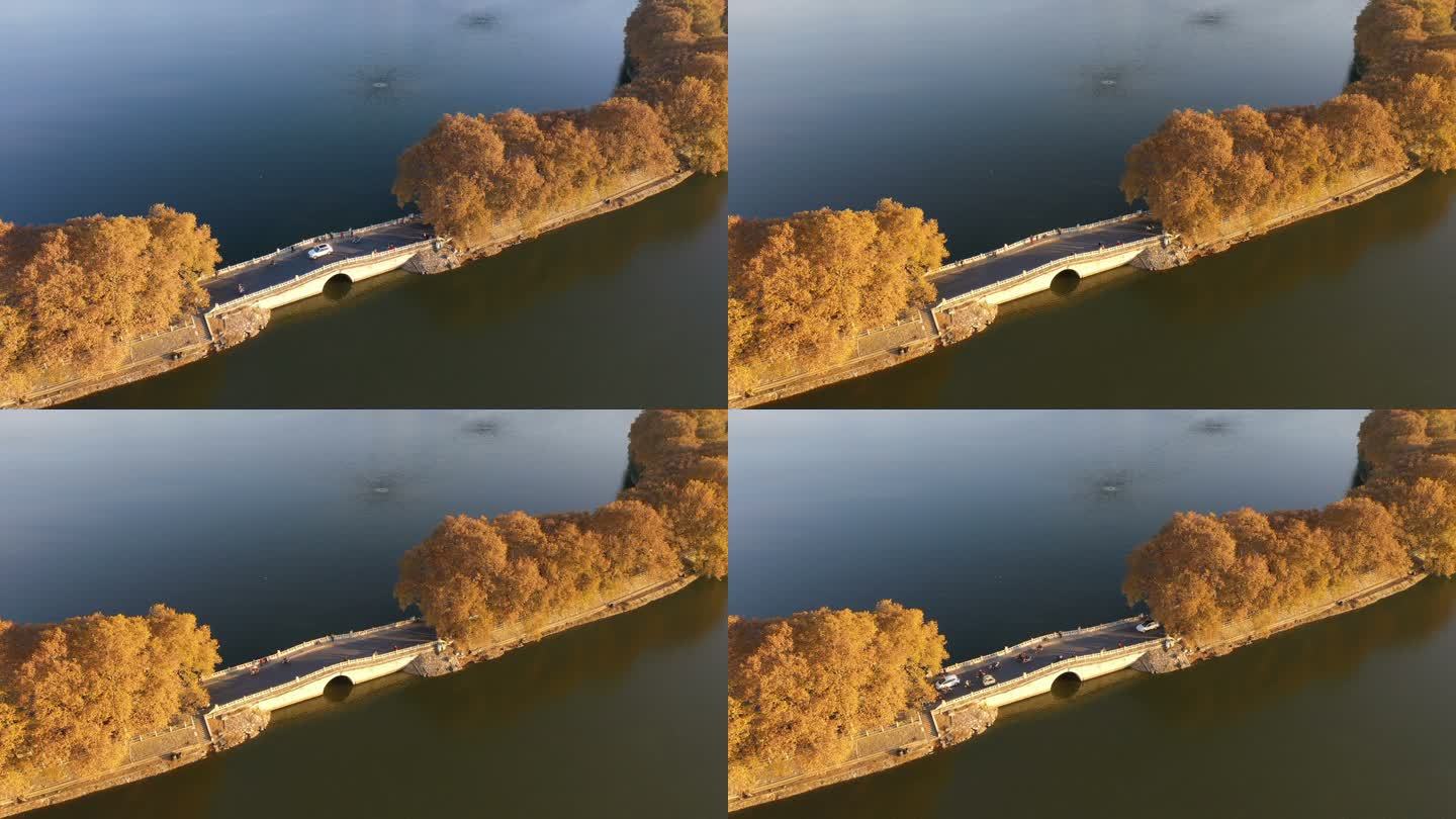 航拍九江李公堤及思贤桥在秋天