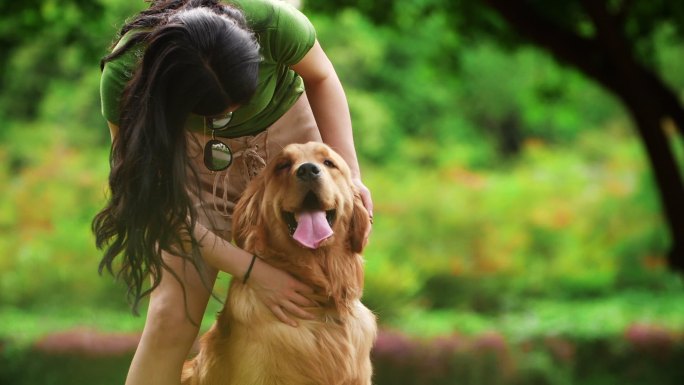 长发美女爱抚宠物狗金毛犬和年轻女人公园里