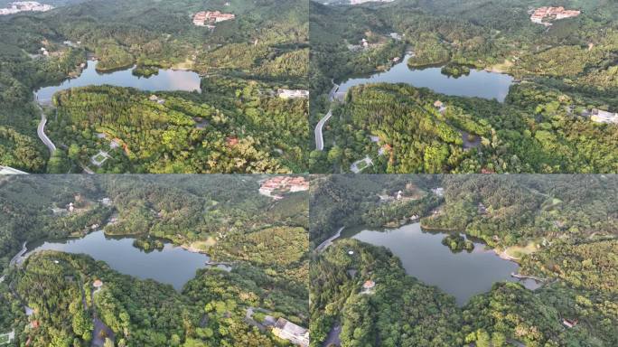 仙湖植物园