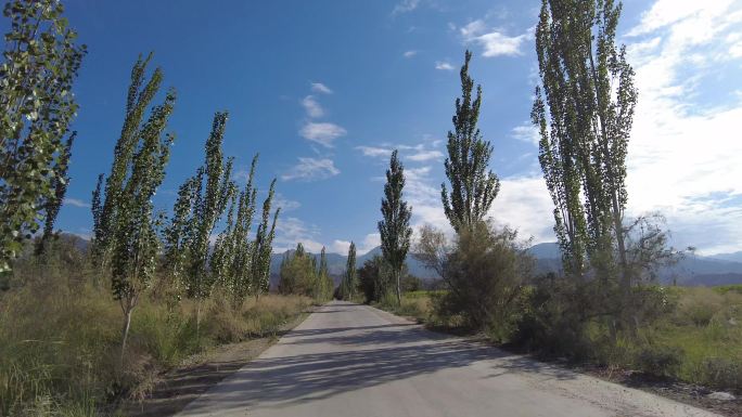 上山道路行车记录