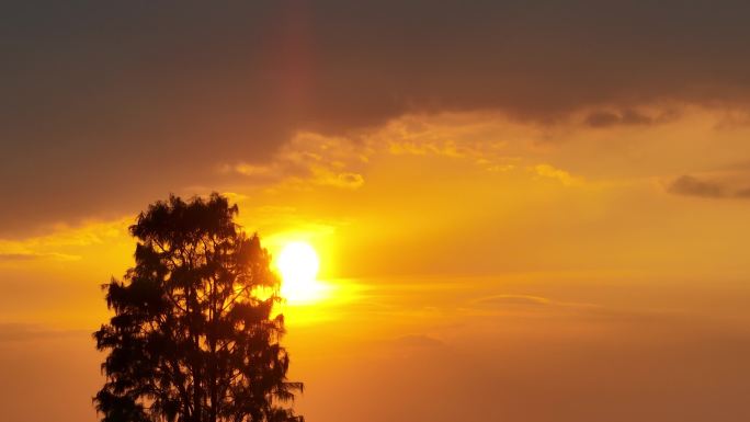 4K航拍日落晚霞 夕阳树梢 唯美自然风光